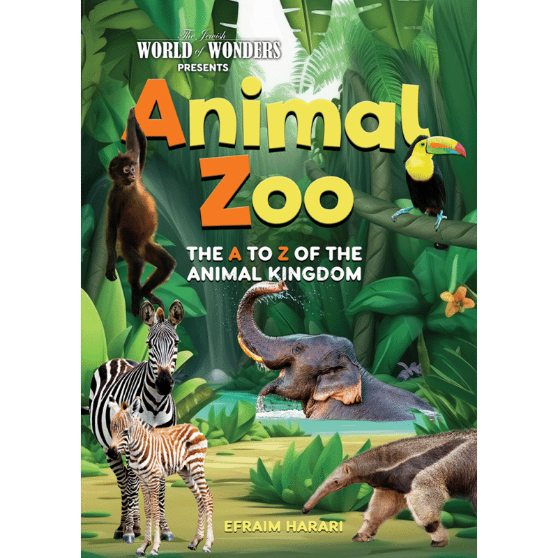 Animal Zoo