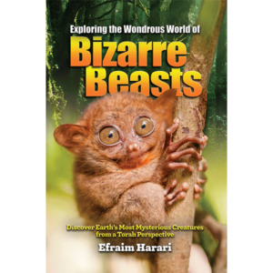 Exploring the Wondrous World of Bizarre Beasts