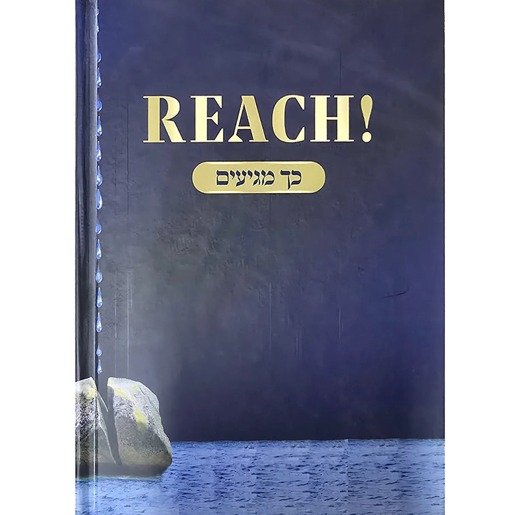 REACH! כך מגיעים